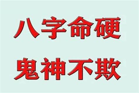 八字硬的人|你是一個八字很硬的人嗎？